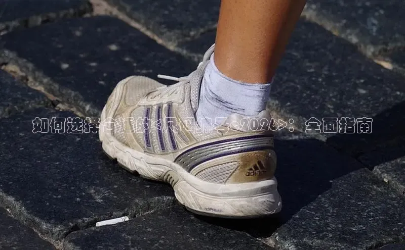 如何选择合适的<尺码编号c2026>：全面指南